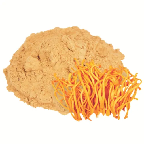 Bột Hạ Thảo (100g) - Đặc sản NAFARM chính hãng