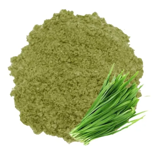 Bột Lá Hẹ Cao Cấp (125g)