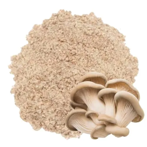 Bột Nấm Bào Ngư C.Cấp (125g)