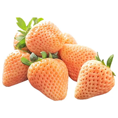 Dâu Tây Nhật Tươi (1kg) - Đặc sản NAFARM chính hãng