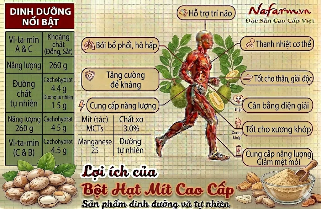 bot-hat-mit-cao-cap-freeze-dried-jackfruit-seed-powder-dac-san-nafarm-vn-093-8828-553-1 bot-hat-mit-cao-cap-freeze-dried-jackfruit-seed-powder-dac-san-nafarm-vn-093-8828-553-1