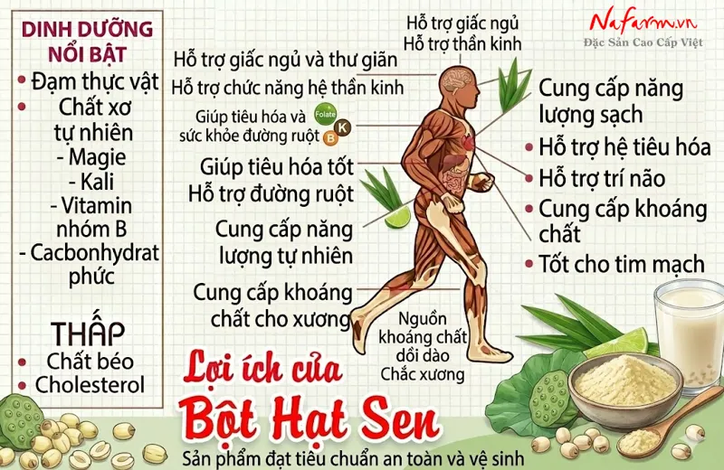 bot-hat-sen-lotus-seed-powder-say-thang-hoa-nong-san-dac-san-nafarm-0938-828-553-4 bot-hat-sen-lotus-seed-powder-say-thang-hoa-nong-san-dac-san-nafarm-0938-828-553-4