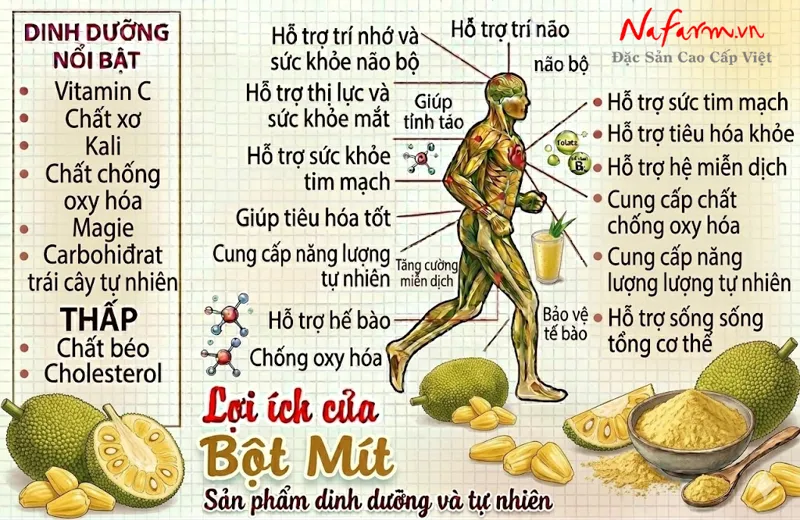 bot-mit-jackfruit-powder-say-thang-hoa-nong-san-dac-san-nafarm-0938-828-553-4 bot-mit-jackfruit-powder-say-thang-hoa-nong-san-dac-san-nafarm-0938-828-553-4