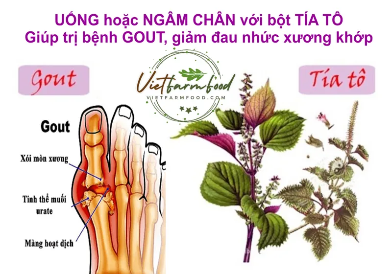 bot-rau-tia-to-perilla-powder-say-lanh