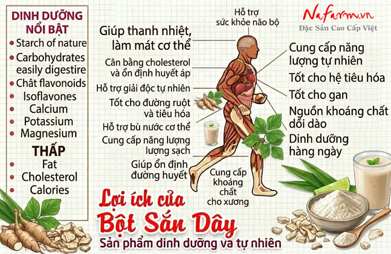 bot-san-day-arrowroot-powder-say-thang-hoa-nong-san-dac-san-nafarm-0938-828-553-4 bot-san-day-arrowroot-powder-say-thang-hoa-nong-san-dac-san-nafarm-0938-828-553-4