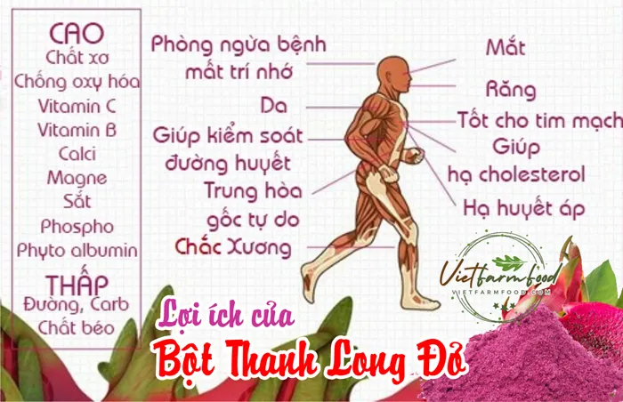 bot-thanh-long-do-red-dragon-fruit-powder-say-phun-nong-san-viet-farm-food bot-thanh-long-do-red-dragon-fruit-powder-say-phun-nong-san-viet-farm-food