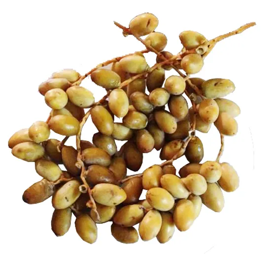 cha-la-nguyen-canh-nhap-khau-malaysia-dac-san-nafarm-vn cha-la-nguyen-canh-nhap-khau-malaysia-dac-san-nafarm-vn
