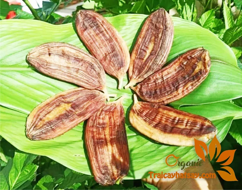 chuoi-hong-say-kho-vo-lua-nguyen-trai-ep chuoi-hong-say-kho-vo-lua-nguyen-trai-ep