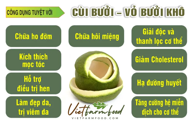 vo-buoi-say-kho-dried-dried-grapefruit-peel-nong-san-viet-farm-food-093-8828-553 vo-buoi-say-kho-dried-dried-grapefruit-peel-nong-san-viet-farm-food-093-8828-553