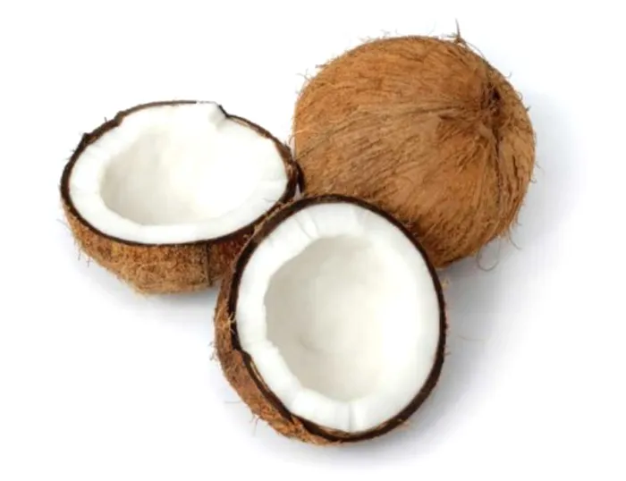 dua-kho-say-gion-don-trai-cay-hat-say-com