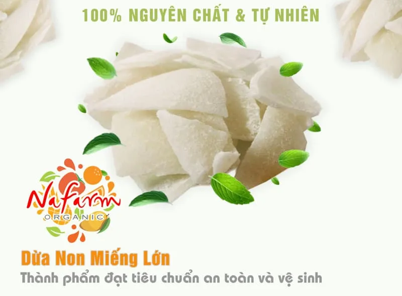 dua-non-mieng-lon-young-coconut-large-pieces-dac-san-cao-cap-nafarm-vn-093-8828-553-02 dua-non-mieng-lon-young-coconut-large-pieces-dac-san-cao-cap-nafarm-vn-093-8828-553-02