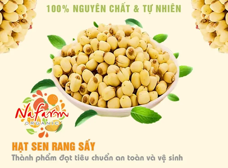 hat-sen-rang-trai-cay-hat-say-dac-san-ngon-cao-cap-viet-nam-vn-2 hat-sen-rang-trai-cay-hat-say-dac-san-ngon-cao-cap-viet-nam-vn-2