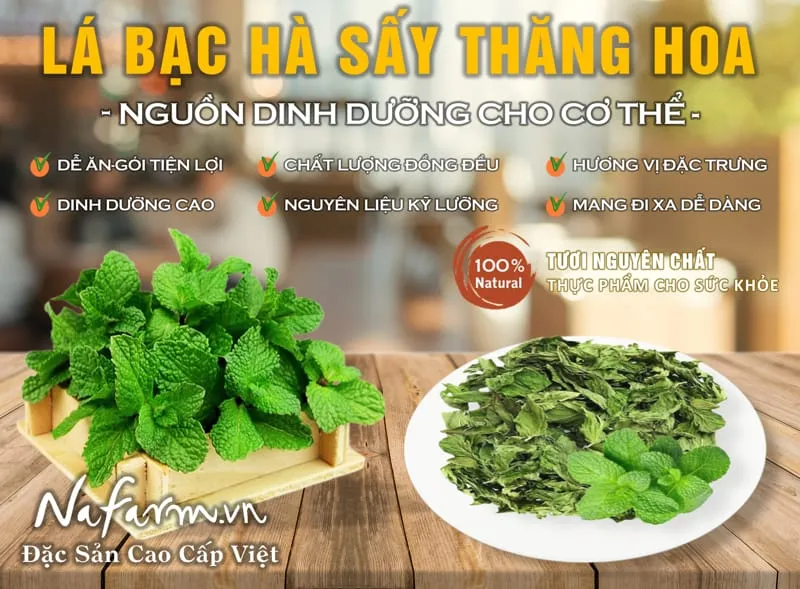 la-bac-ha-kho-say-thang-hoa-dried-mint-leaves-dac-san-nong-san-cao-cap-viet-farm-food-l-hotline-093-8828-553-1 la-bac-ha-kho-say-thang-hoa-dried-mint-leaves-dac-san-nong-san-cao-cap-viet-farm-food-l-hotline-093-8828-553-1