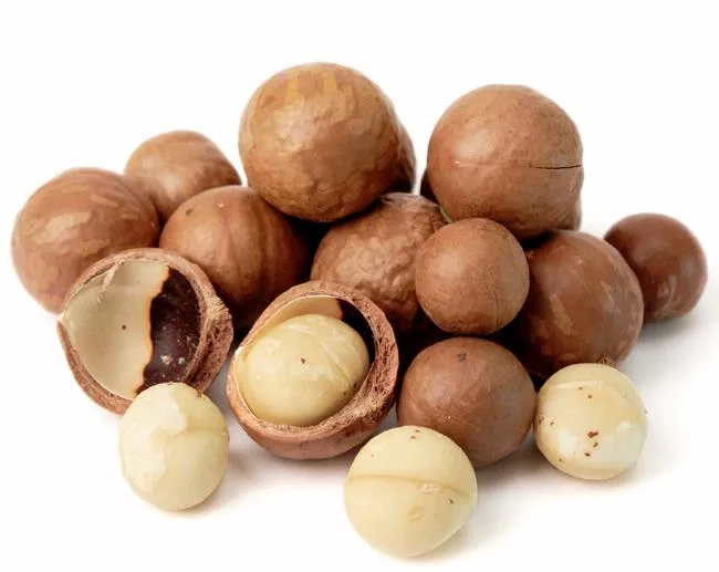 hat-mac-ca-lam-dong-dac-san-cao-cap-viet-nam-nafarm-vn hat-mac-ca-lam-dong-dac-san-cao-cap-viet-nam-nafarm-vn