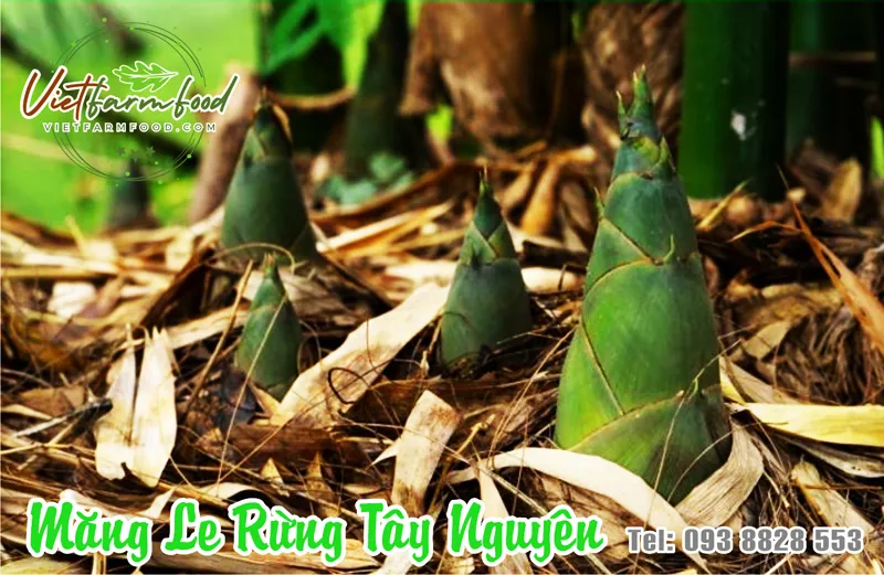 mang-le-tay-nguyen-kho-dried-bamboo-shoots-nong-san-cao-cap-vietf-farm-food-093-8828-553