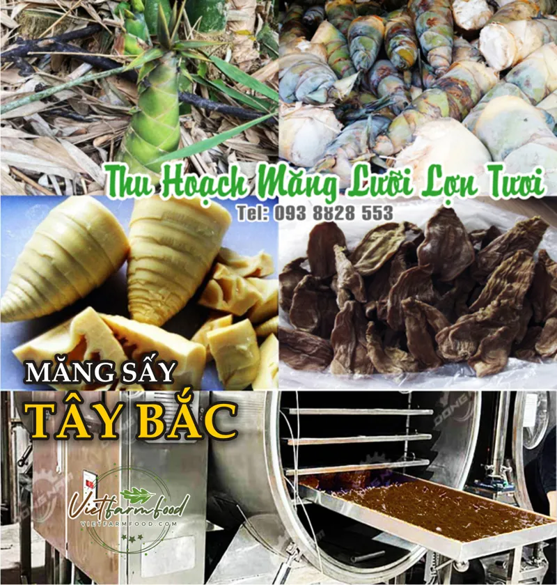 mang-luoi-lon-mam-cut-tay-bac-kho-dried-bamboo-shoots-nong-san-cao-cap-viet-farm-food-093-8828-553