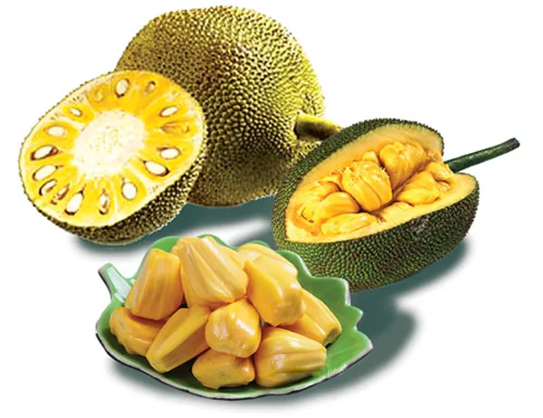/mit-say-gion-trai-cay-hat-say-com /mit-say-gion-trai-cay-hat-say-com