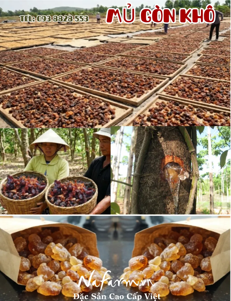 mu-gon-kho-dried-kapo-gum-nong-san-viet-farm-food-093-8828-553 mu-gon-kho-dried-kapo-gum-nong-san-viet-farm-food-093-8828-553