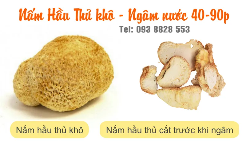 nam-hau-thu-dau-khi-kho-Dried-lion-mane-mushroom-nong-san-cao-cap-vietf-farm-food-093-8828-553