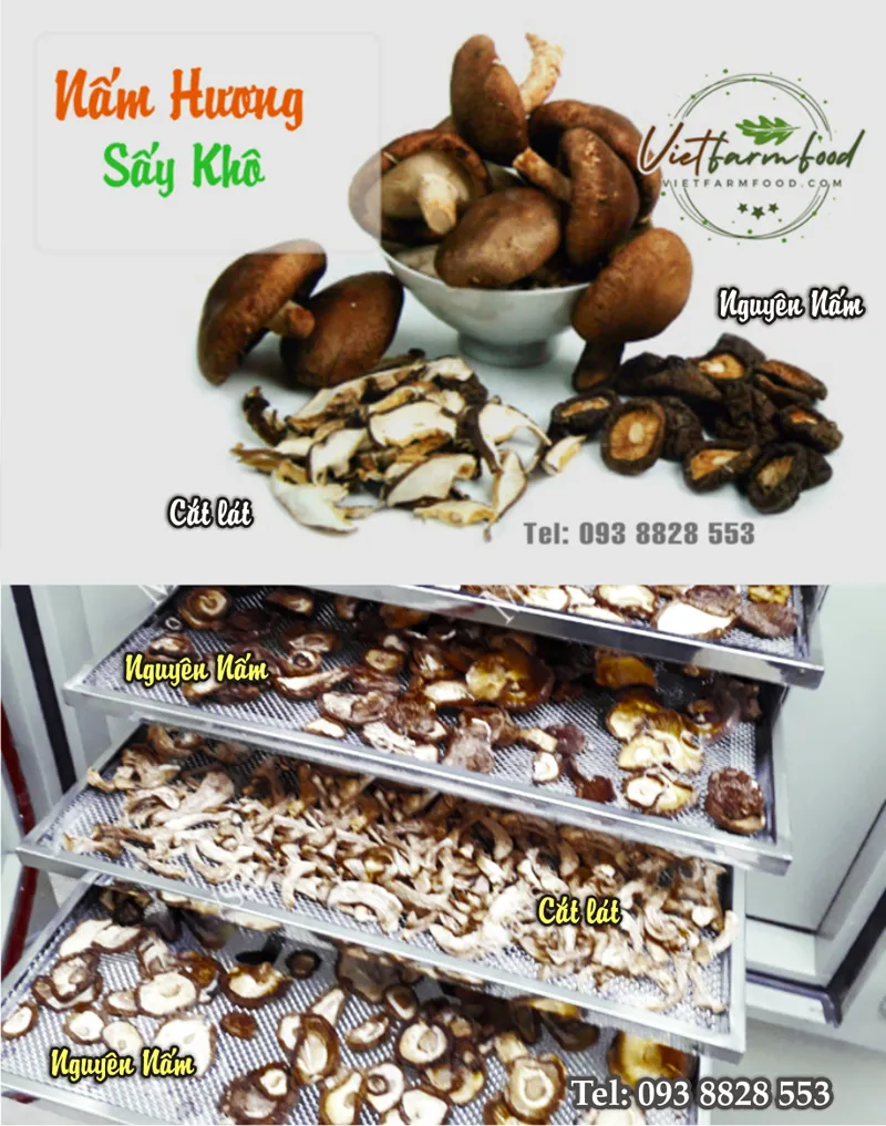 nam-huong-kho-dried-shiitake-mushrooms-shiitake-mushrooms-nong-san-cao-cap-viet-farm-food-093-8828-553
