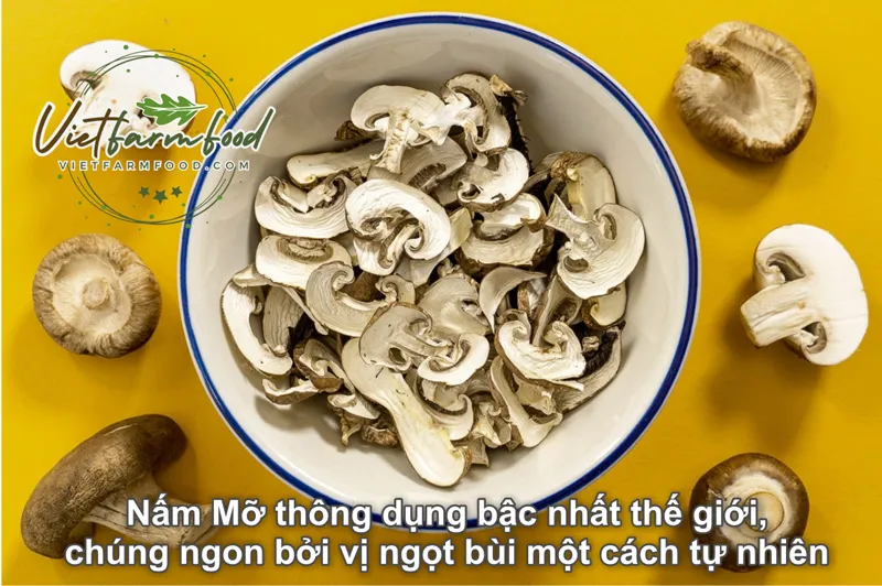 nam-mo-kho-dried-button-mushrooms-nong-san-cao-cap-viet-farm-food-093-8828-553 nam-mo-kho-dried-button-mushrooms-nong-san-cao-cap-viet-farm-food-093-8828-553