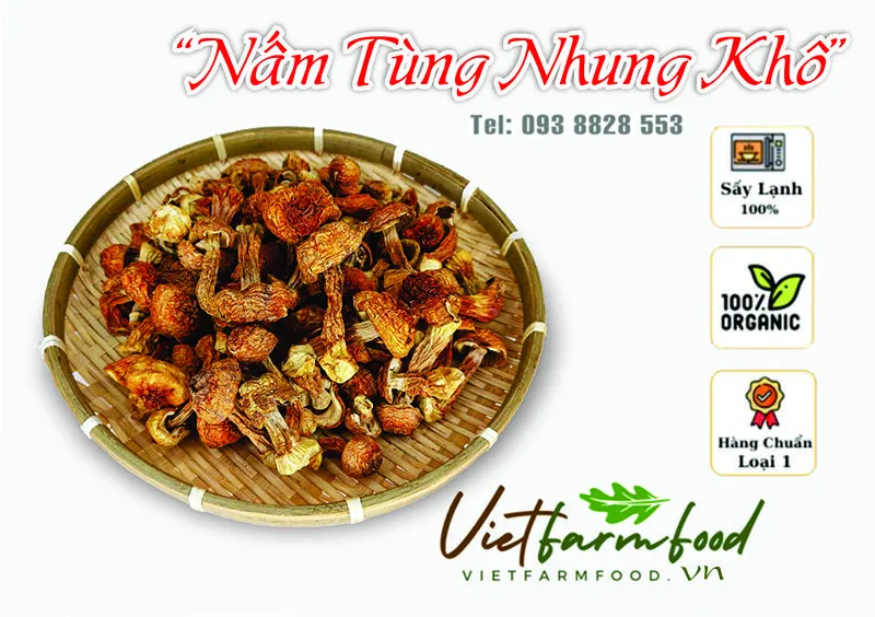 nam-tung-nhung-kho-dried-matsutake-mushrooms-nong-san-viet-farm-food-093-8828-553 nam-tung-nhung-kho-dried-matsutake-mushrooms-nong-san-viet-farm-food-093-8828-553
