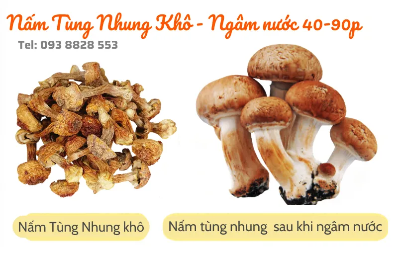 nam-tung-nhung-kho-dried-matsutake-mushrooms-nong-san-viet-farm-food-093-8828-553 nam-tung-nhung-kho-dried-matsutake-mushrooms-nong-san-viet-farm-food-093-8828-553