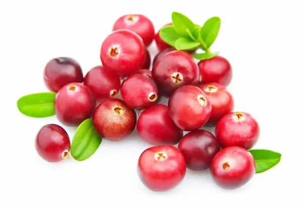 Nam-viet-quat-say-kho-dac-san-cao-cap Nam-viet-quat-say-kho-dac-san-cao-cap