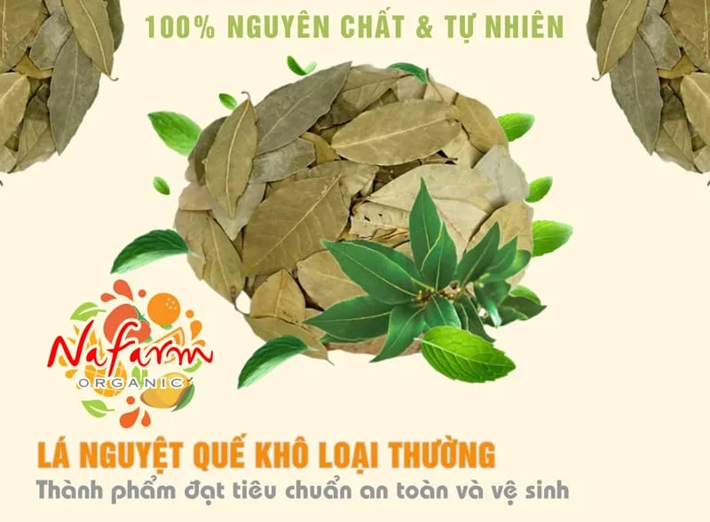 la-nguyet-que-kho-loai-thuong-say-doi-luu-regular-dried-bay-leaves-dac-san-nong-san-cao-cap-viet-farm-food-l-hotline-093-8828-553-3 la-nguyet-que-kho-loai-thuong-say-doi-luu-regular-dried-bay-leaves-dac-san-nong-san-cao-cap-viet-farm-food-l-hotline-093-8828-553-3