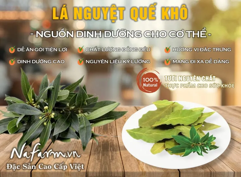 la-nguyet-que-kho-loai-thuong-say-thang-hoa-dried-bay-leaves-dac-san-nong-san-cao-cap-viet-farm-food-hotline-093-8828-553-11 la-nguyet-que-kho-loai-thuong-say-thang-hoa-dried-bay-leaves-dac-san-nong-san-cao-cap-viet-farm-food-hotline-093-8828-553-11