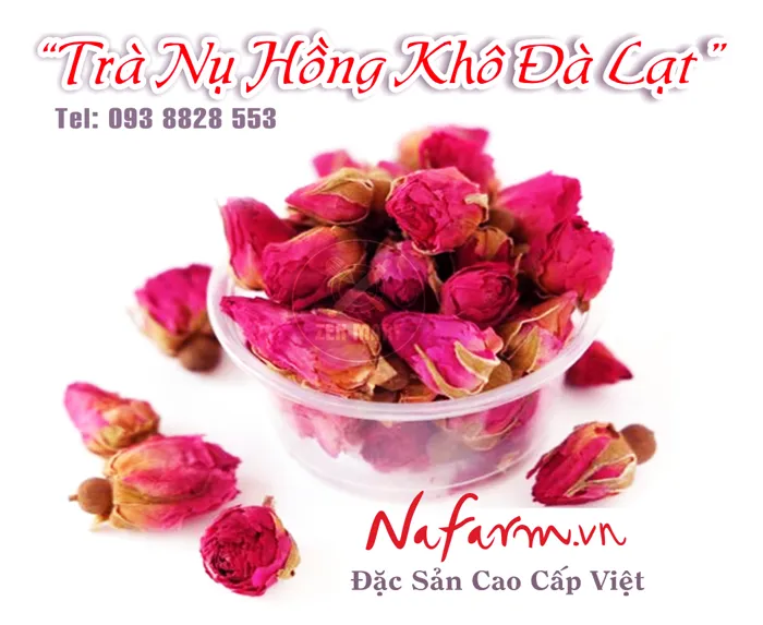 tra-nu-hong-da-lat-093-8828-553 tra-nu-hong-da-lat-093-8828-553