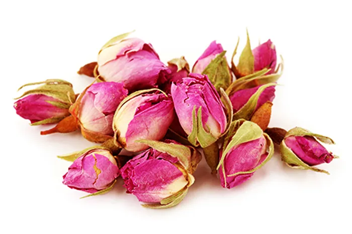 tra-nu-hong-da-lat-093-8828-553 tra-nu-hong-da-lat-093-8828-553