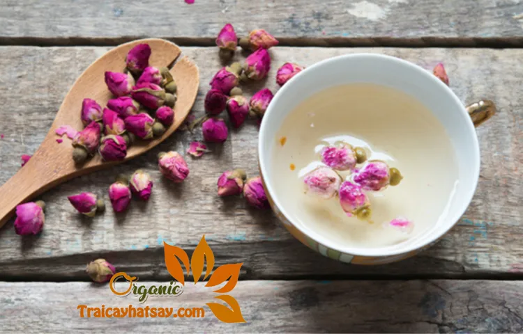 tra-nu-hong-da-lat-093-8828-553 tra-nu-hong-da-lat-093-8828-553