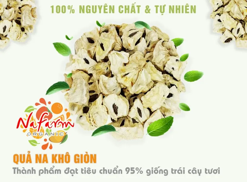 qua-na-kho-gion-don-khong-duong-say-dong-kho-thang-hoa-crispy-dried-custard-apple-no-sugar-free-dac-san-cao-cap-nafarm-vn-093-8828-553-4