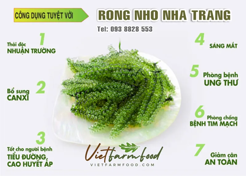 cong-dung-loi-ich-rong-tach-nuoc-say-kho-nha-trang-dehydrated-dried-seaweed--nong-san-cao-cap-viet-farm-food-093-8828-553