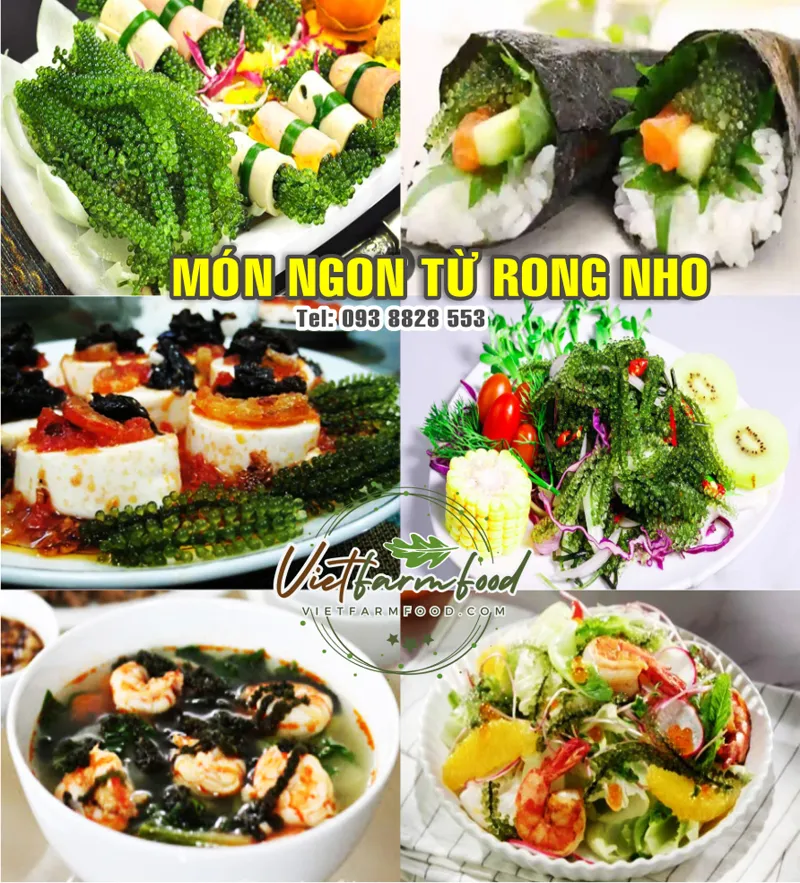 mon-an-ngon-tu-rong-tach-nuoc-say-kho-nha-trang-dehydrated-dried-seaweed--nong-san-cao-cap-viet-farm-food-093-8828-553
