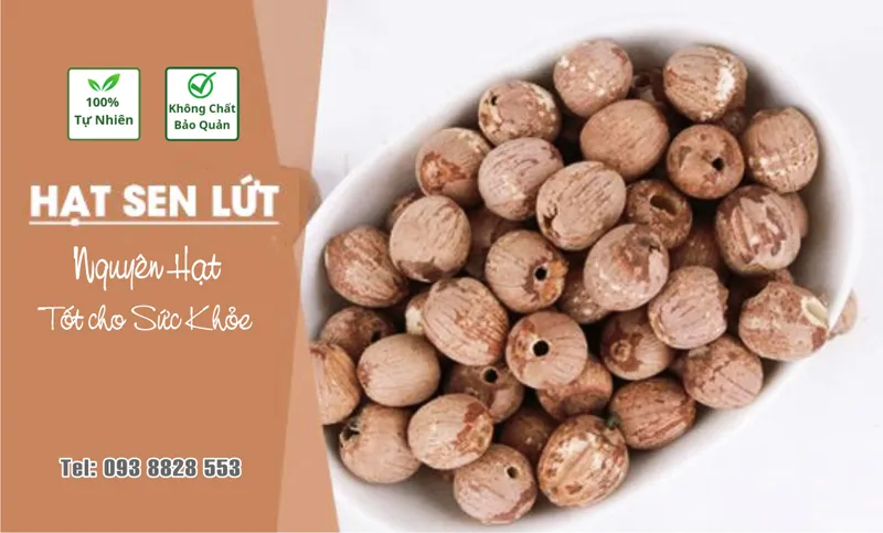 hat-sen-luc-dac-san-viet-farm-food hat-sen-luc-dac-san-viet-farm-food