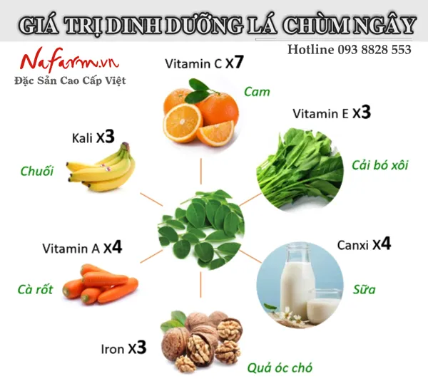 tra-chum-ngay-dac-san-nafarm-vn-0938-828-553 tra-chum-ngay-dac-san-nafarm-vn-0938-828-553