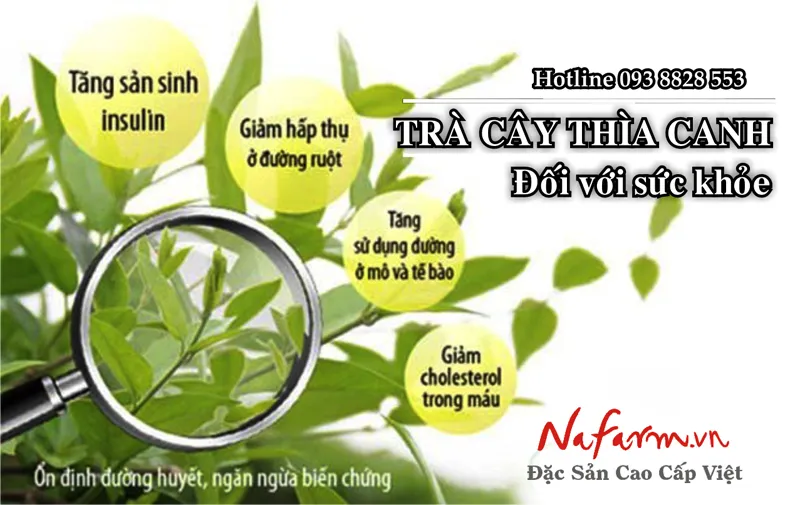 tra-day-thia-canh-danh-cho-nguoi-tieu-duong-dac-san-nafarm-vn-0938-828-553 tra-day-thia-canh-danh-cho-nguoi-tieu-duong-dac-san-nafarm-vn-0938-828-553