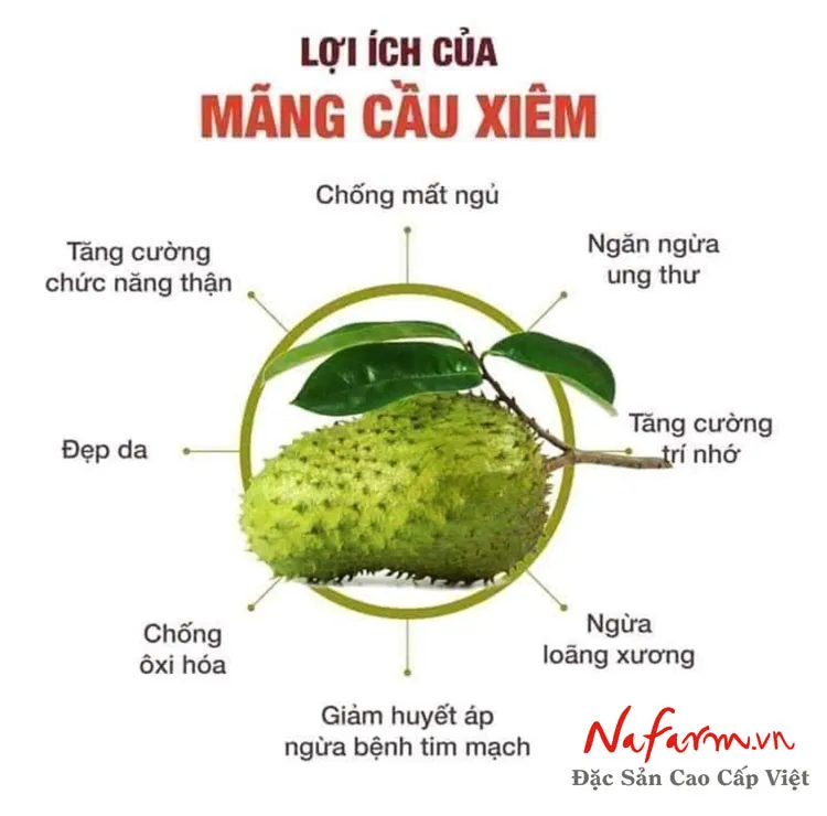 tra-mang-cau-xiem-say-kho tra-mang-cau-xiem-say-kho