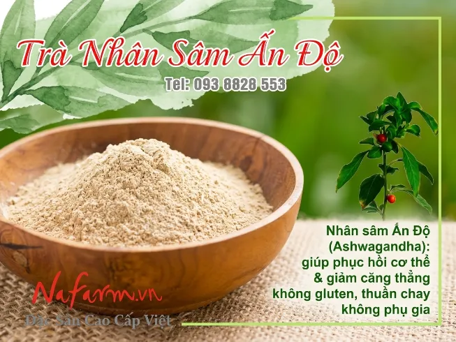 tra-nhan-sam-an-ashwagandha-dr-herb-dac-san-nafarm-093-8828-553 tra-nhan-sam-an-ashwagandha-dr-herb-dac-san-nafarm-093-8828-553
