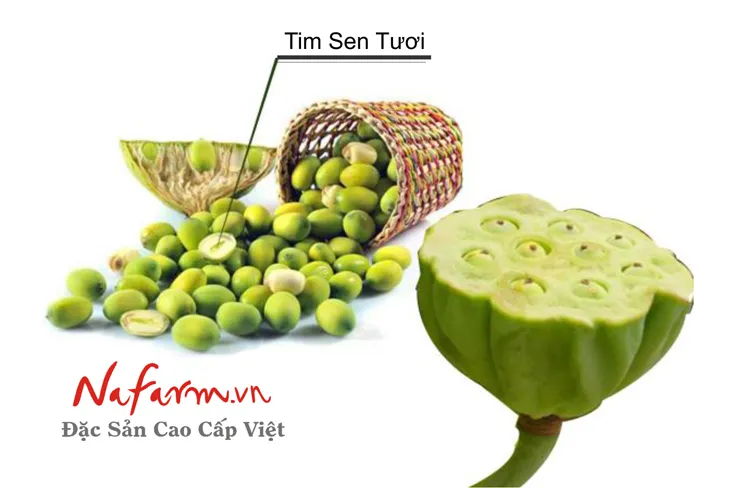 tra-tam-tim-sen-dac-san-cao-cap-viet-nafarm tra-tam-tim-sen-dac-san-cao-cap-viet-nafarm