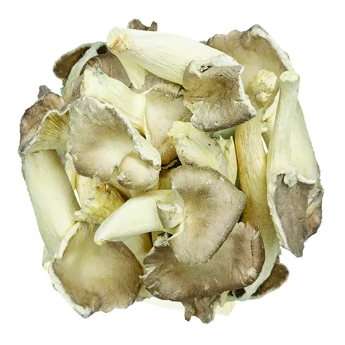 Nấm Bào Ngư Giòn (100g)