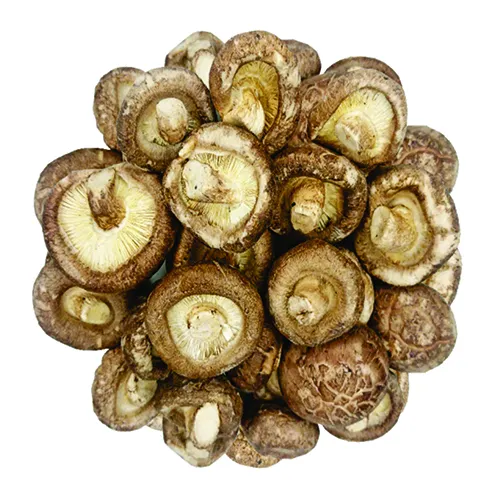 Nấm Đông Cô Giòn (100g)
