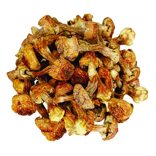 Nấm tùng nhung khô - Đặc sản NAFARM chính hãng