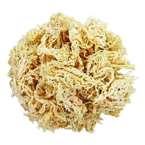 Rong sụn khô (1kg) - Đặc sản NAFARM chính hãng