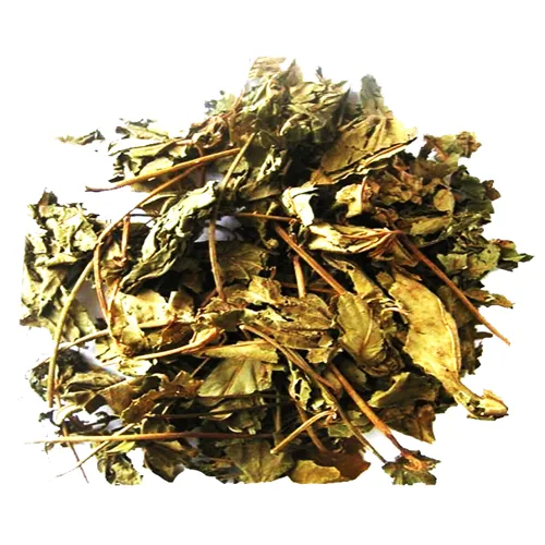 Trà Lá Cây Mã Đề (500g)