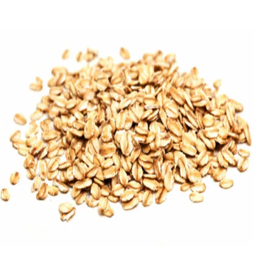 Yến Mạch Quaker Oats (4.53kg) - Đặc sản NAFARM chính hãng